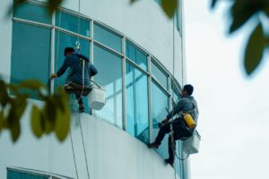 Green Bee Proclean